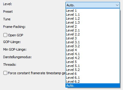 H.264 Level Einstellungen